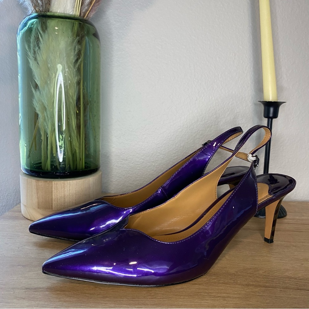 J.Reneé Devils Sling Back Pointed Toe Pumps